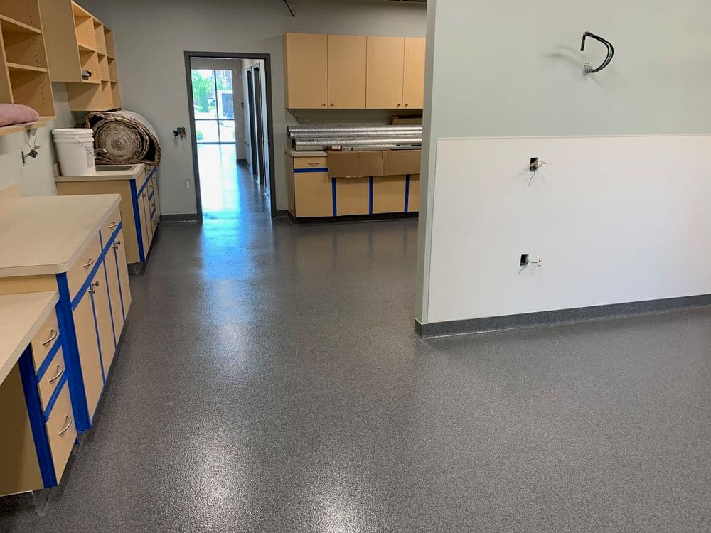 Double Broadcast Quartz System at Pet Wellness Clinic in Carmel image